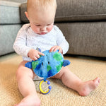 Load image into Gallery viewer, Crunch Bunch Earth Sensory Baby Toy
